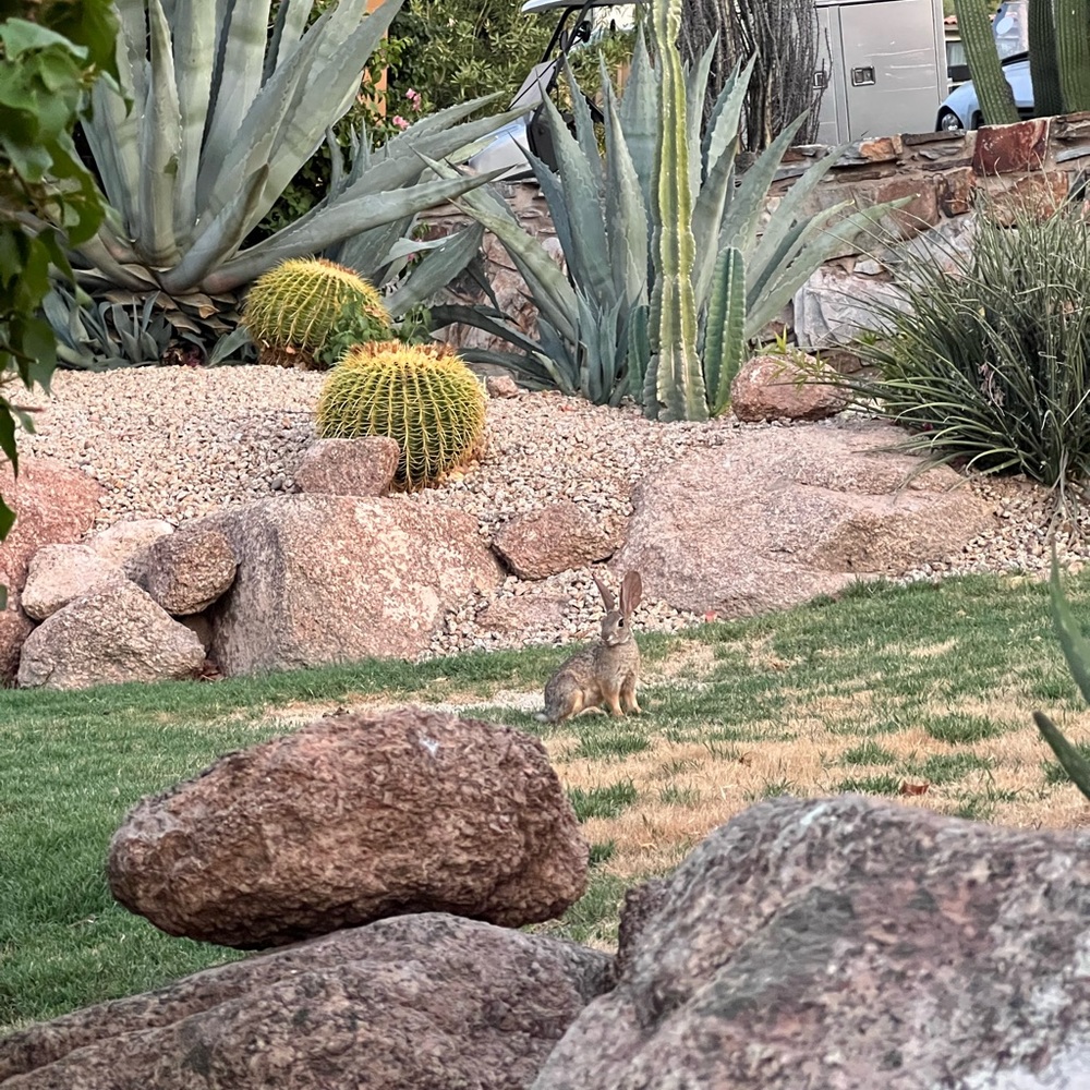 Meet your Posher, Megumi